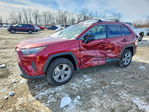 Toyota RAV 4 2025