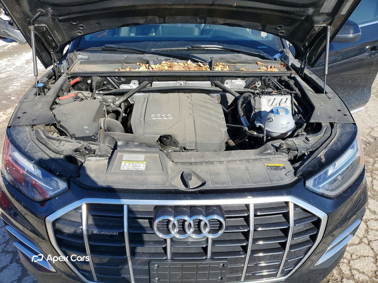 Audi Q5 2021
