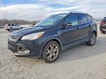 Ford Escape 2014