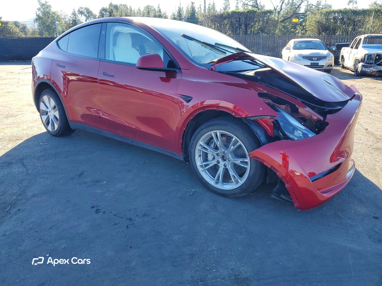 Tesla Model Y 2024