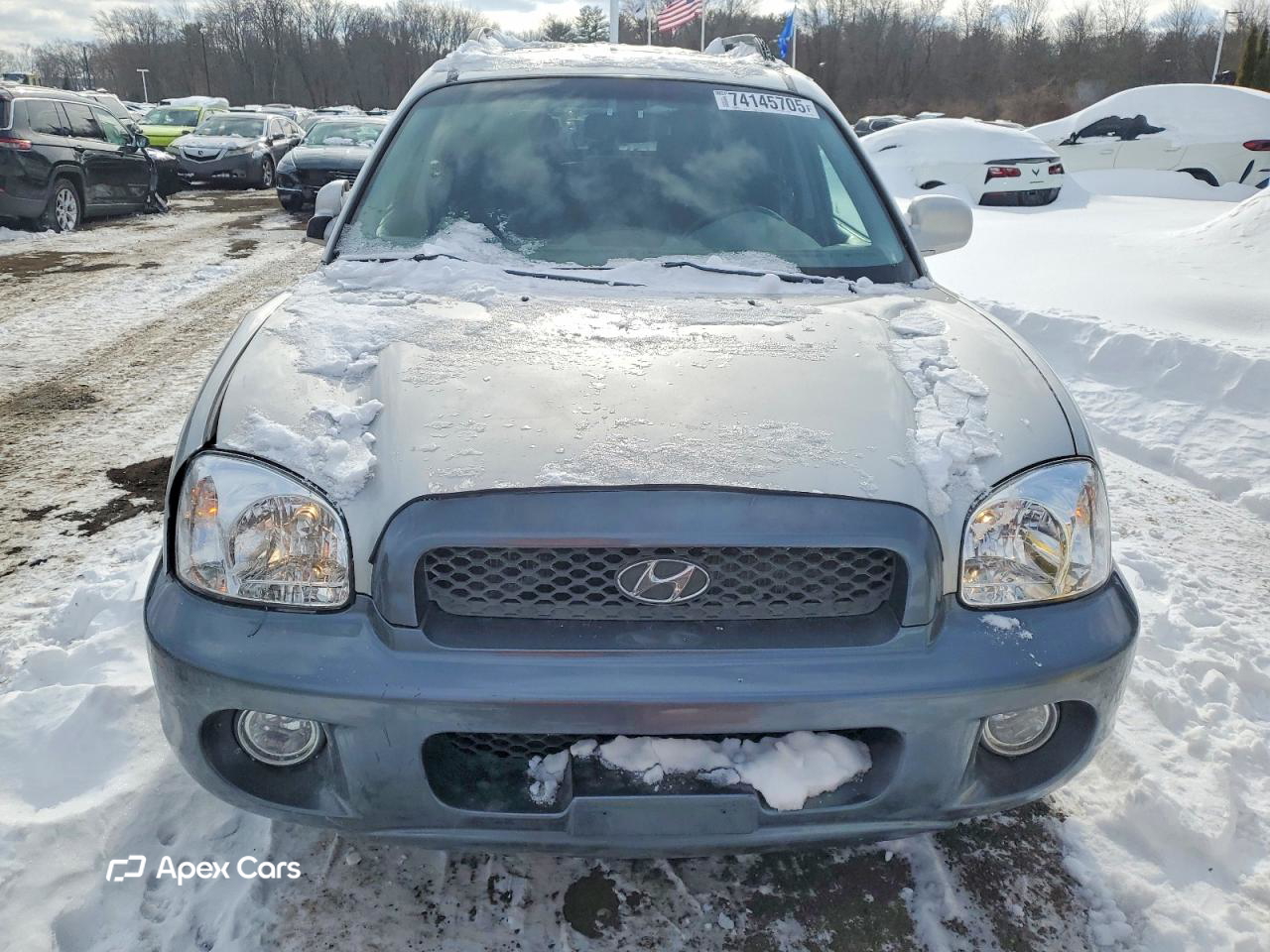 Hyundai Santa Fe 2004