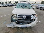 Ford Escape 2012