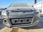 Ford Escape 2013