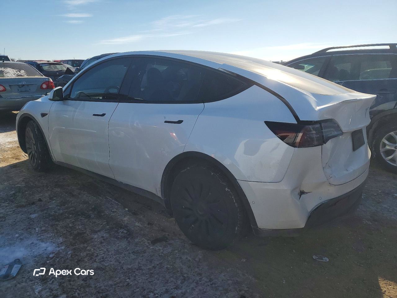 Tesla Model Y 2021