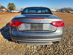 Audi S5 2014