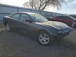 Dodge Charger 2023
