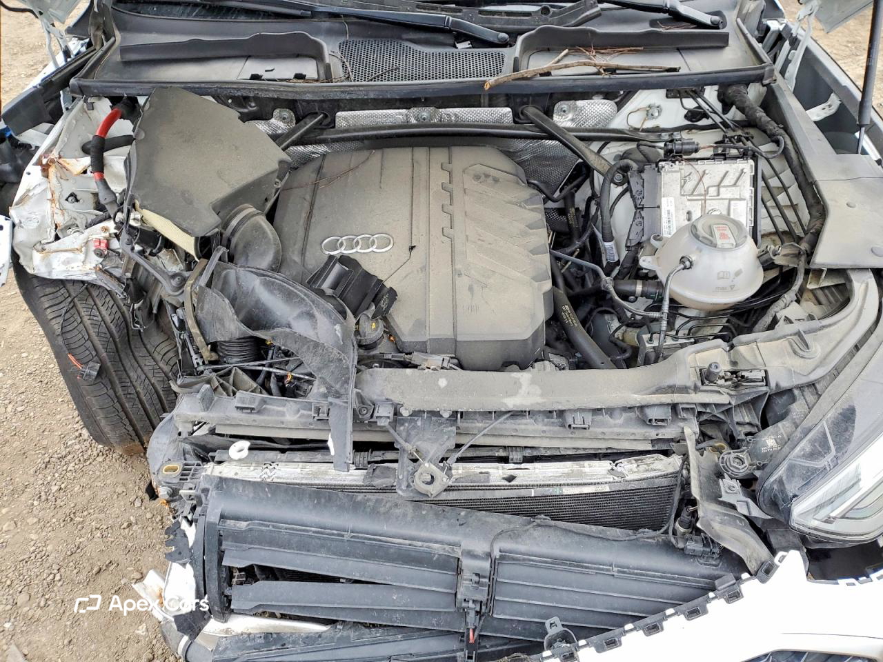 Audi Q5 2022