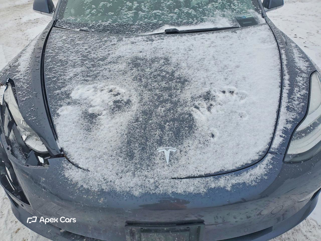 Tesla Model 3 2020