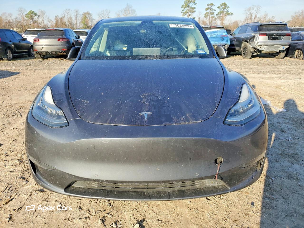 Tesla Model Y 2021