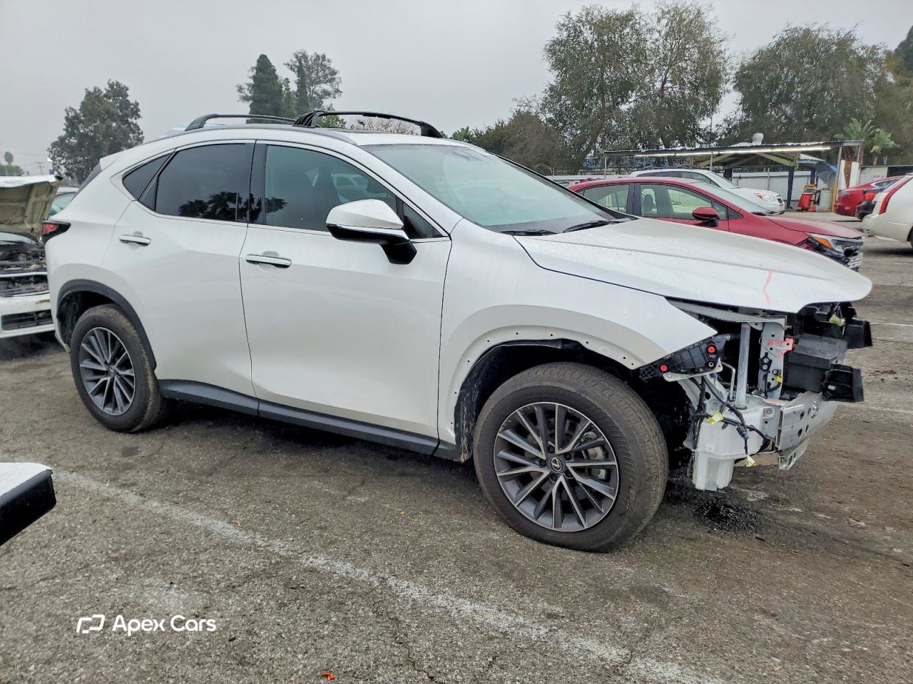 Lexus NX 2025