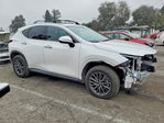 Lexus NX 2025