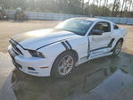 Ford Mustang 2014