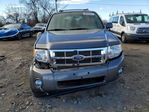 Ford Escape 2011