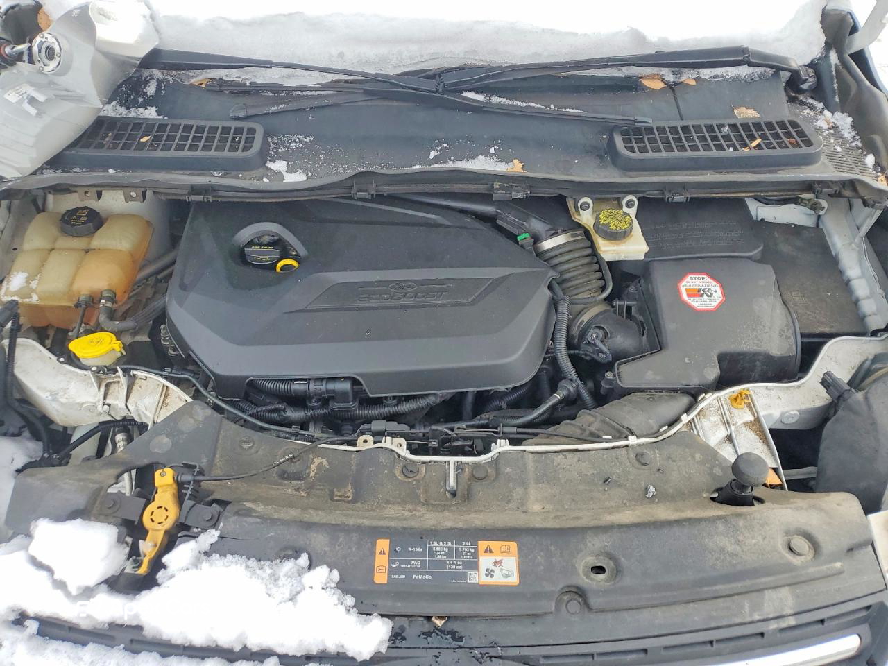 Ford Escape 2014