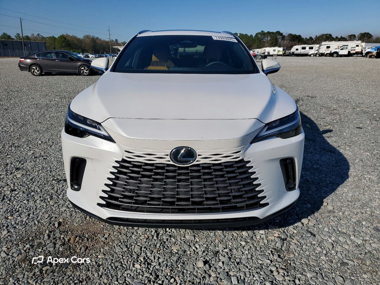 Lexus RX 2025