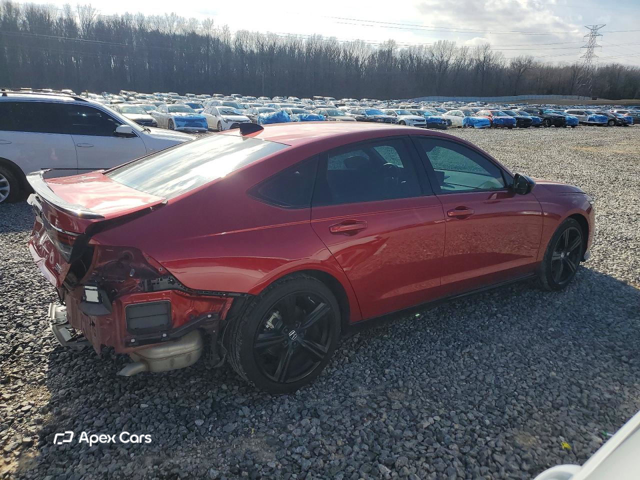 Honda Accord 2025
