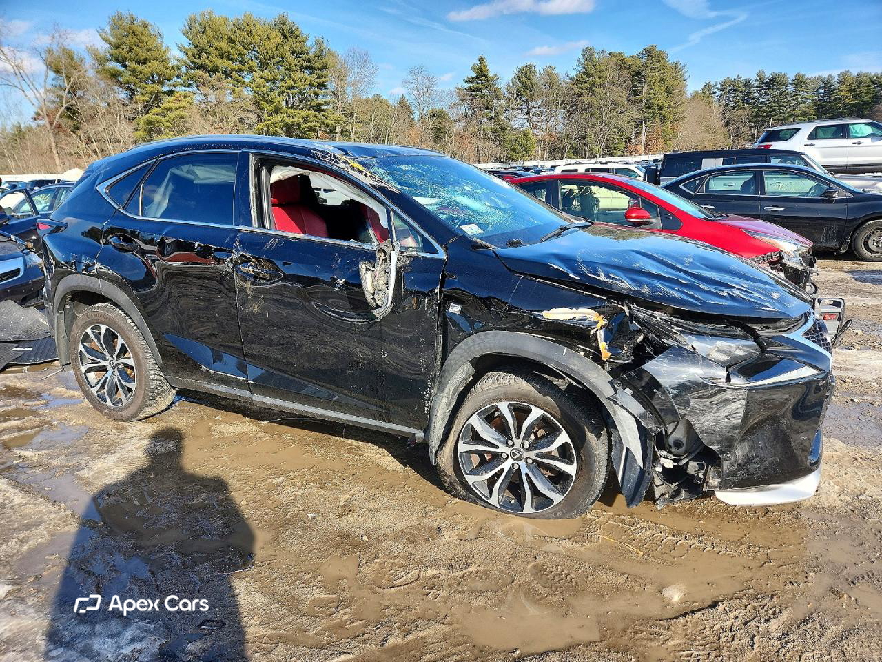 Lexus NX 2016