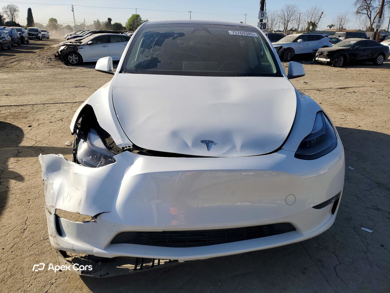 Tesla Model Y 2024