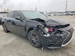 Lexus ES 2024