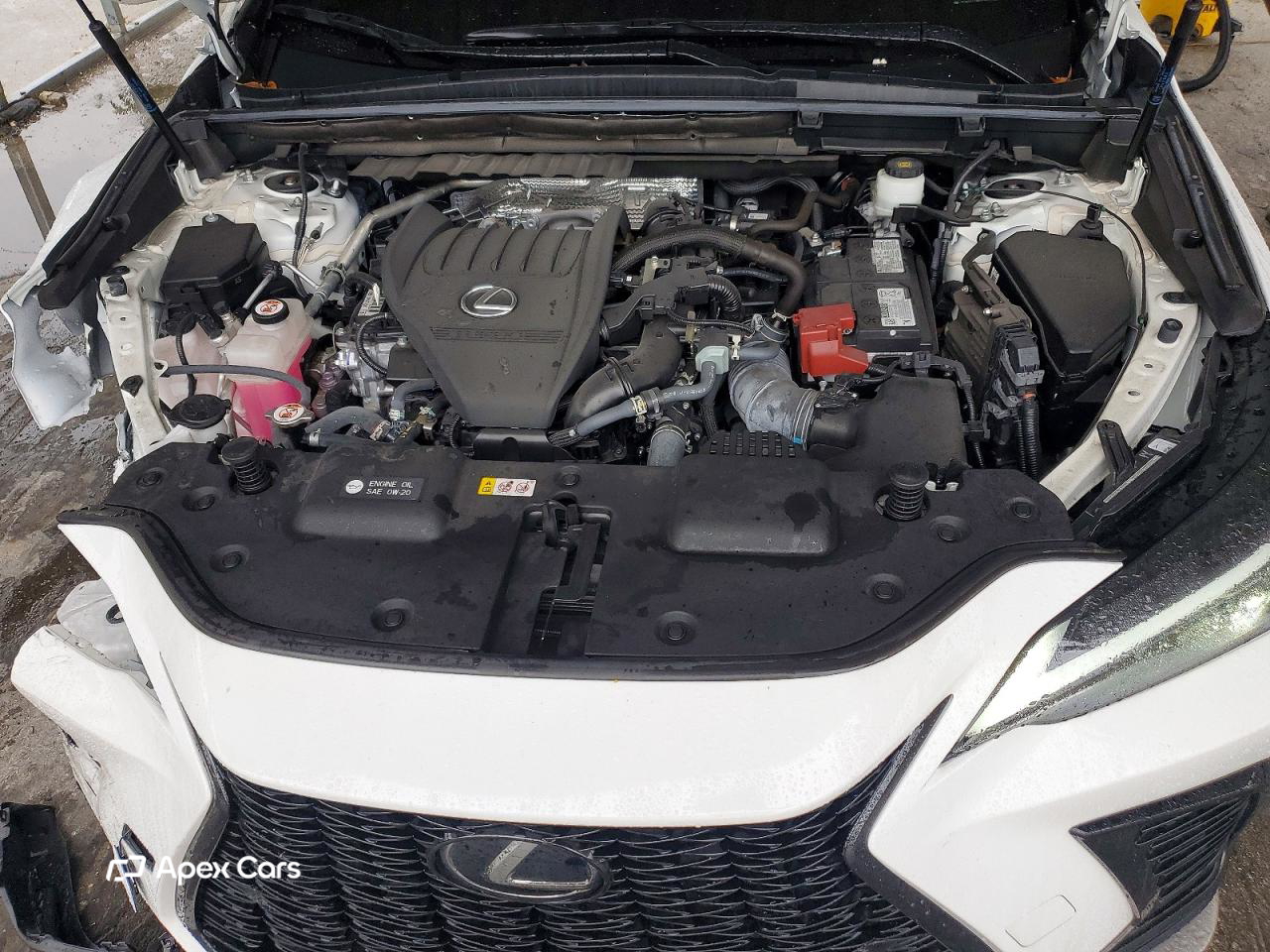 Lexus NX 2024
