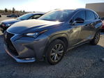 Lexus NX 2015