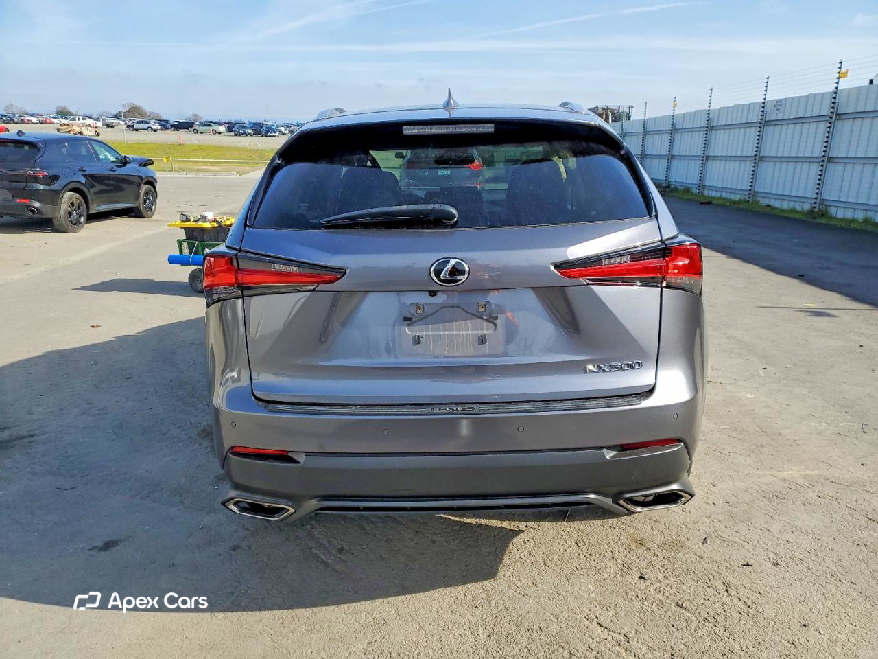 Lexus NX 2021