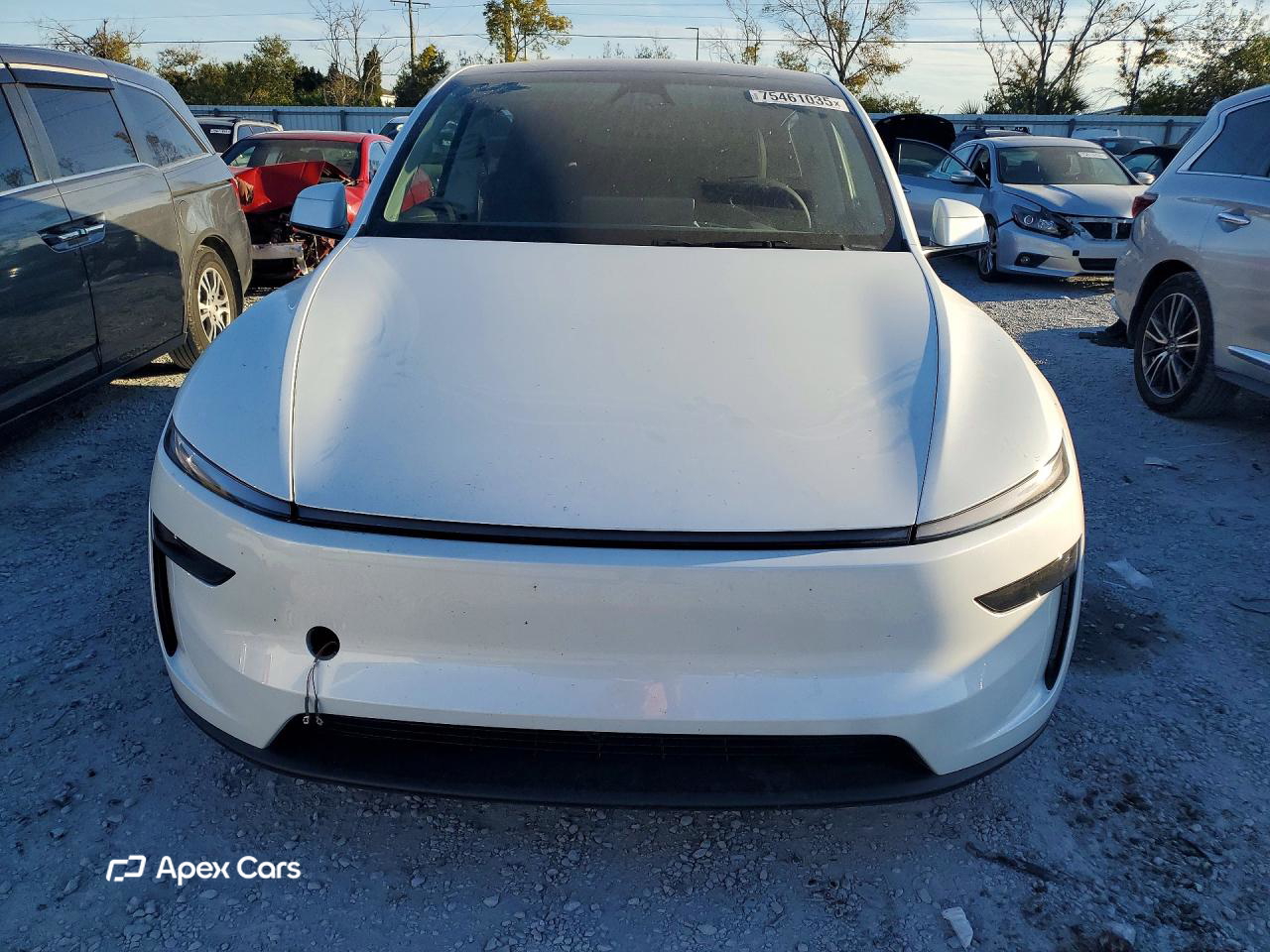 Tesla Model Y 2026