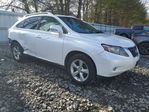 Lexus RX 2010