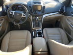 Ford Escape 2013
