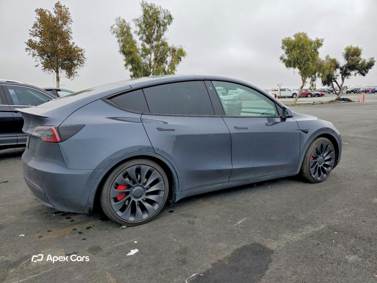 Tesla Model Y 2023