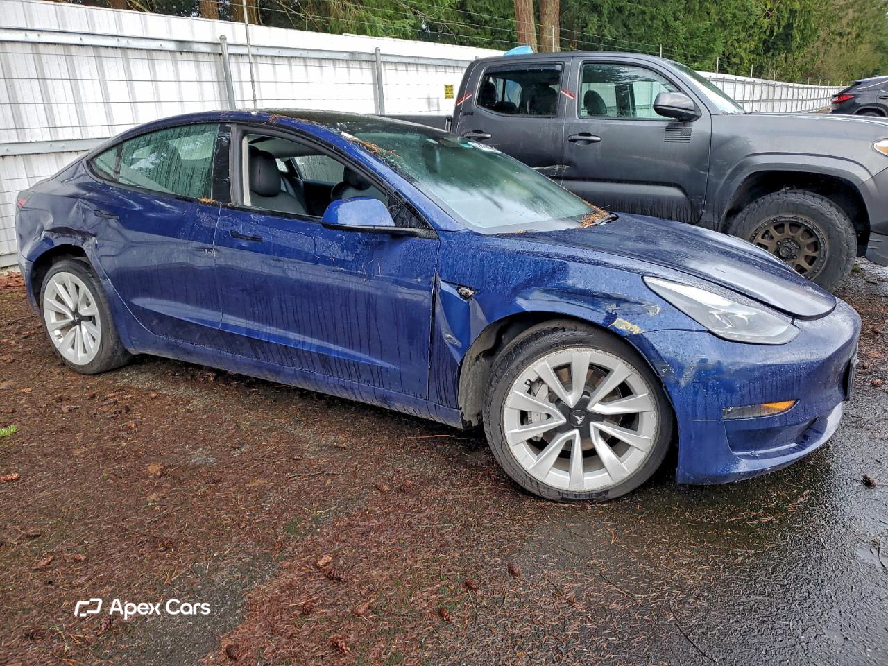 Tesla Model 3 2022