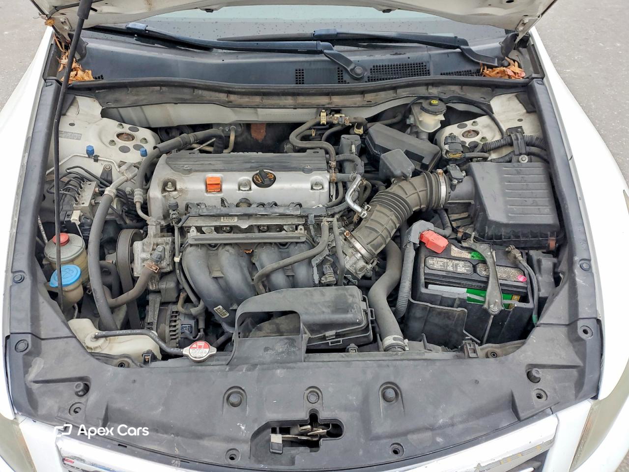 Honda Accord 2011