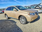 Lexus RX 2010