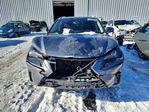 Lexus NX 2020