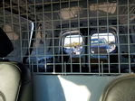 Ford Transit 2022
