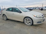 Chevrolet Malibu 2013