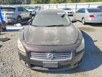 Nissan Maxima 2010