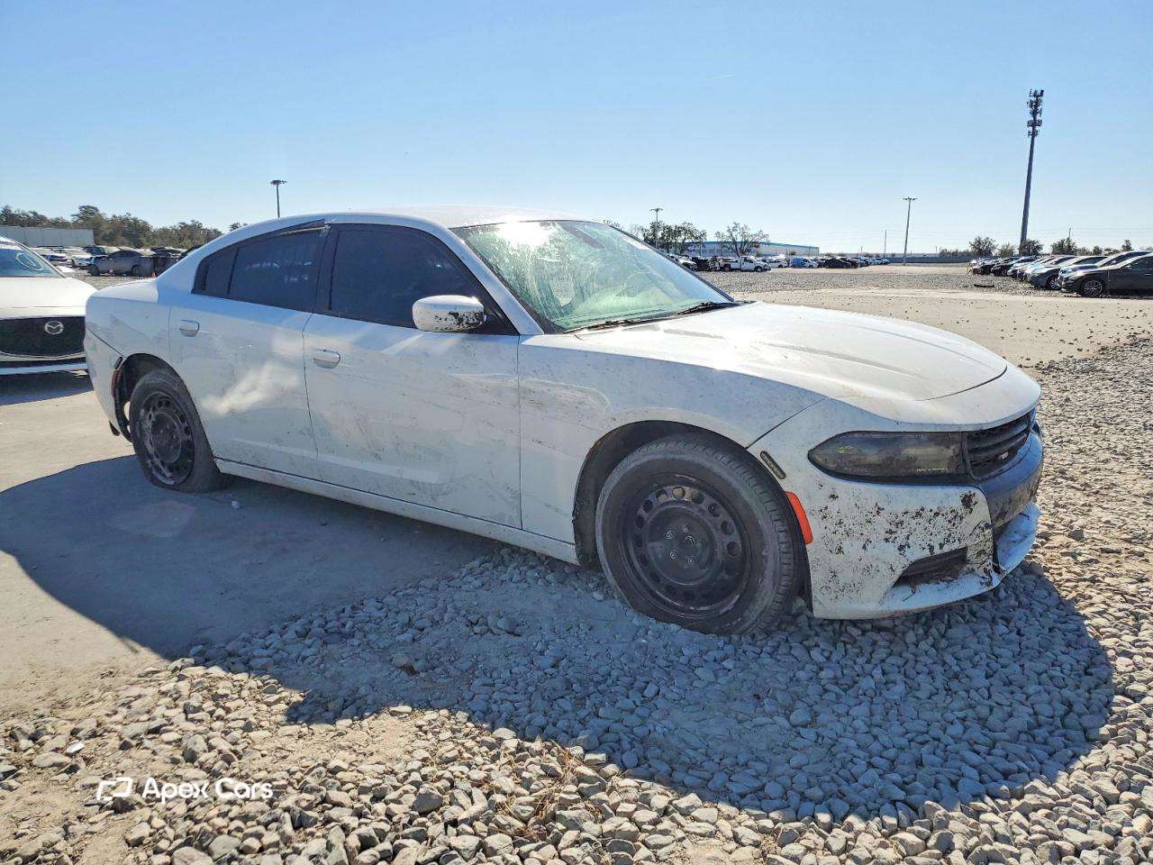 Dodge Charger 2019