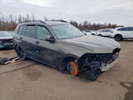 BMW X7 2023