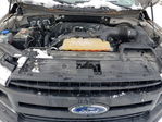 Ford F-150 2019