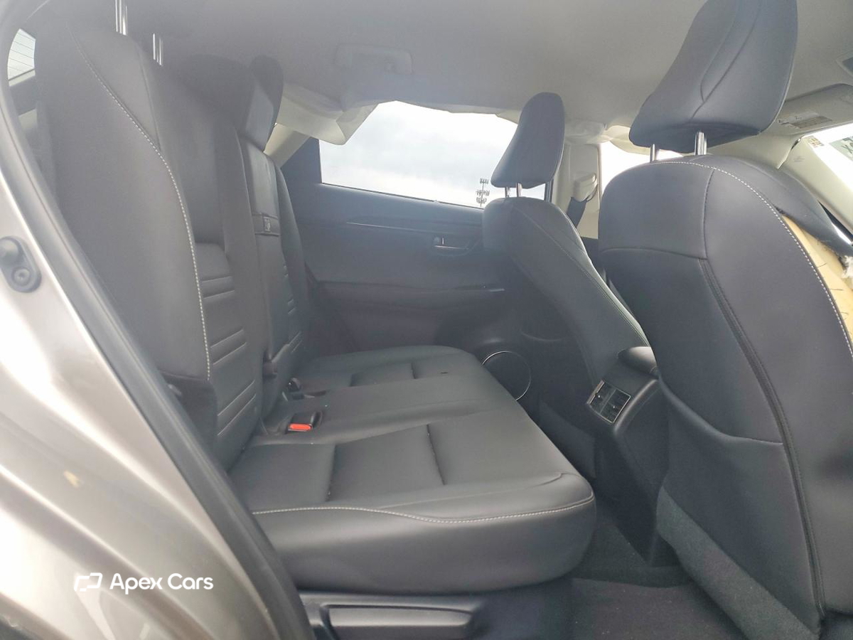 Lexus NX 2020