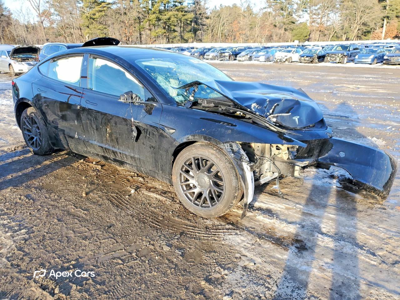 Tesla Model 3 2025