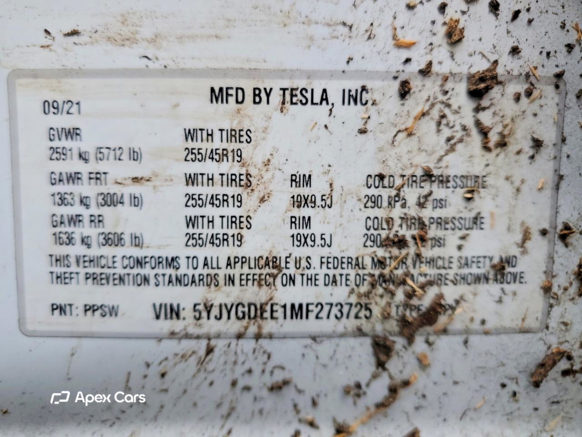 Tesla Model Y 2021