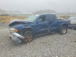 Dodge Dakota 2004