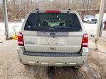Ford Escape 2011