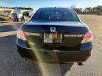 Honda Accord 2010