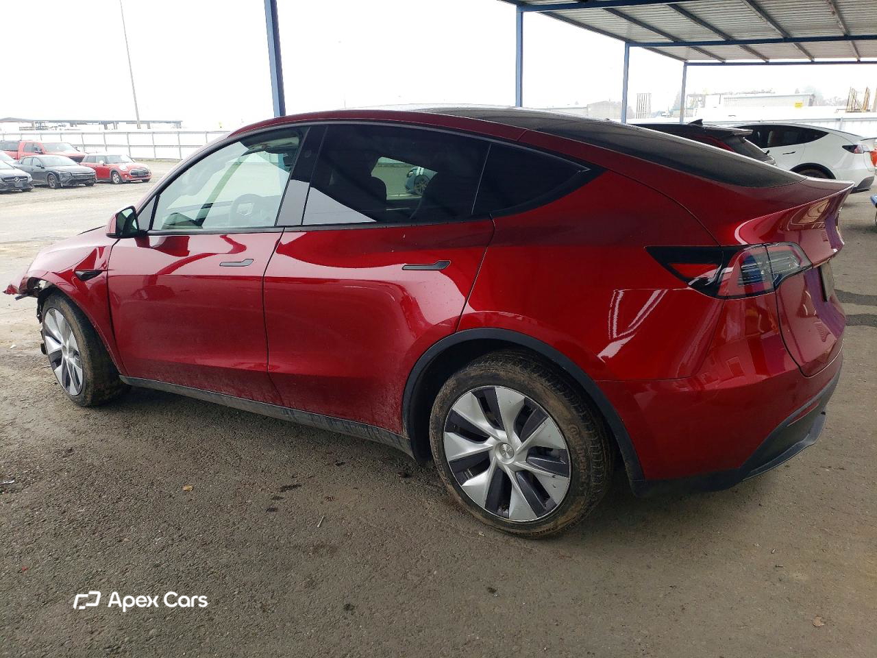 Tesla Model Y 2024