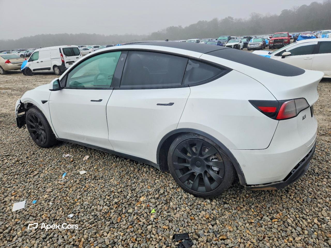 Tesla Model Y 2021