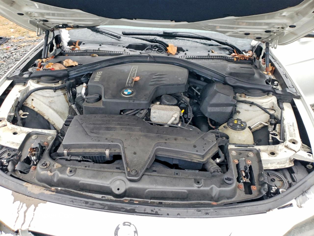 BMW Series 3 2014