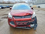 Ford Escape 2014